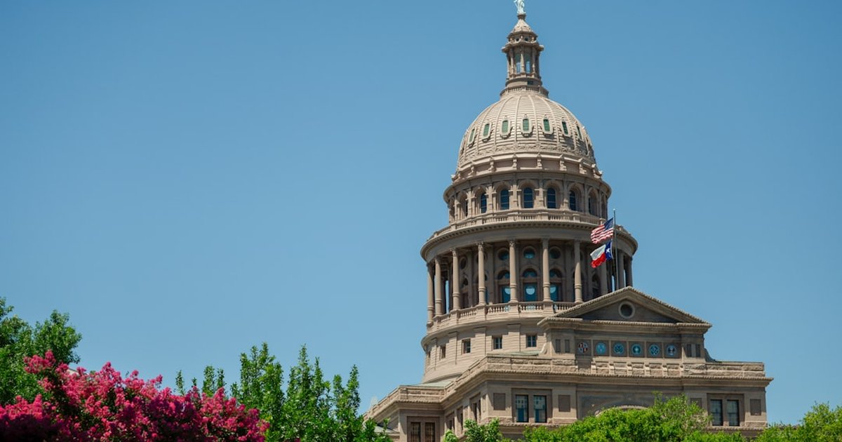 Texas Fathers' Rights & Shared Custody: Complete Guide