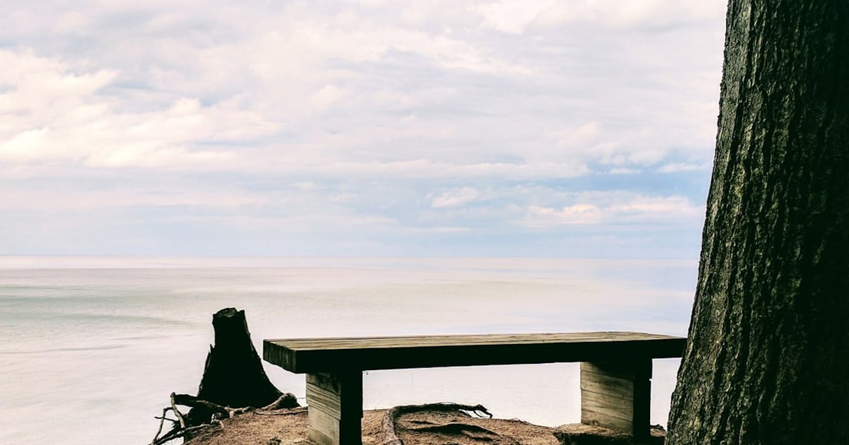 High-Asset Divorce MI: RSUs, Stock Options & Business
