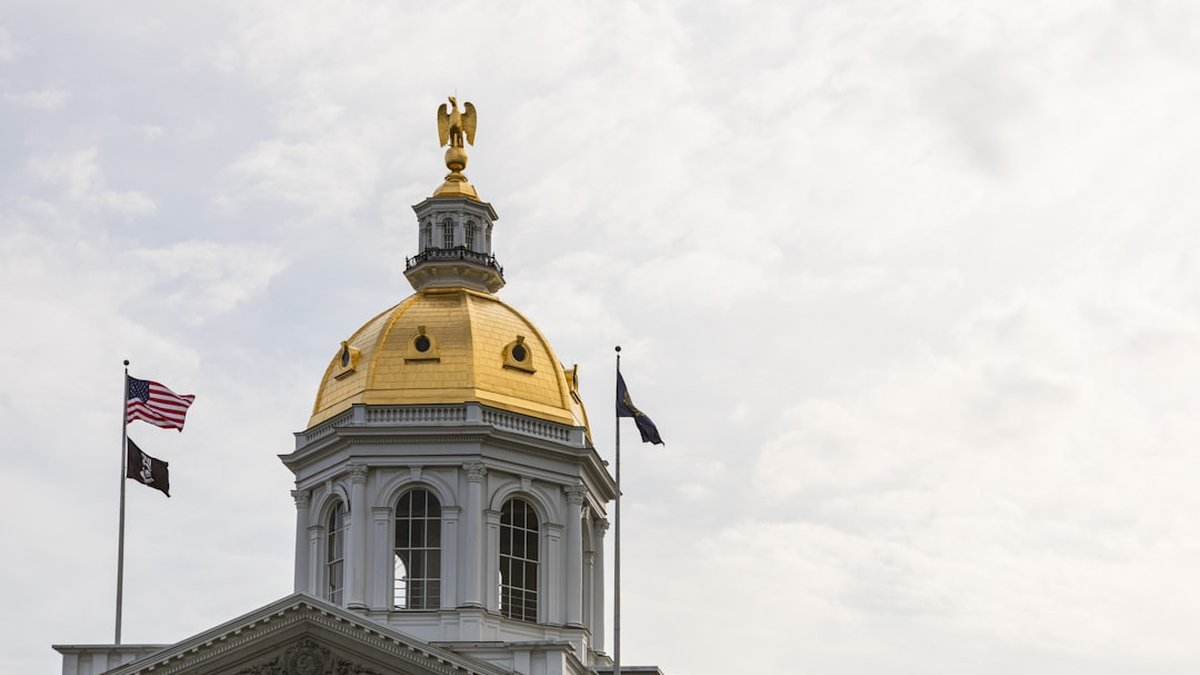 New Hampshire Prenup for Startup Founders & Investors