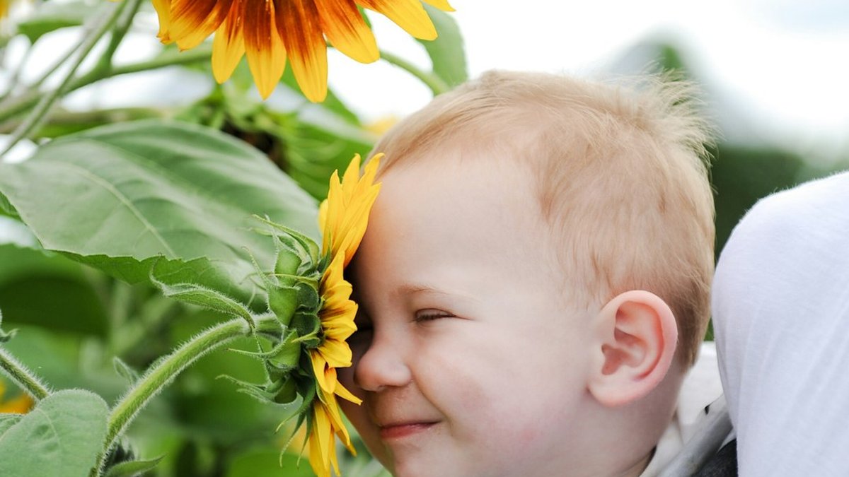 Unmarried Parents Custody & Paternity Rights — Minnesota