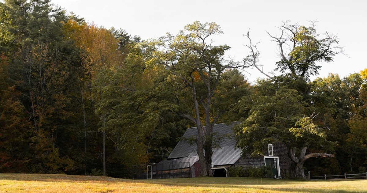 Vermont Prenup for Homeowners: Protect Real Estate